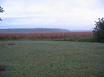 agricultural field can be preserved